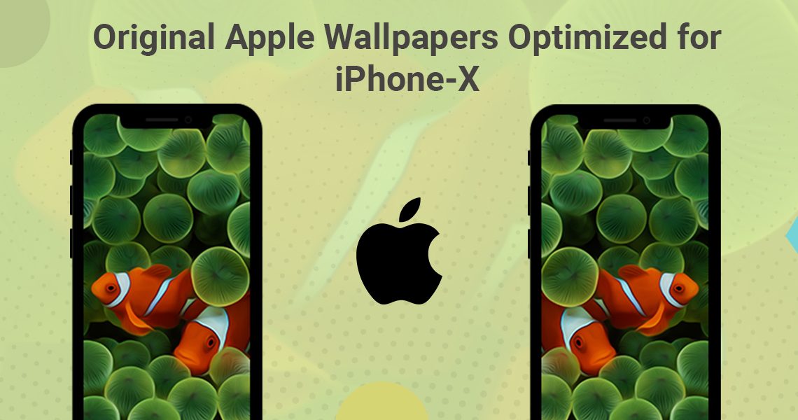 Apple wallpapers optimized for iPhone X