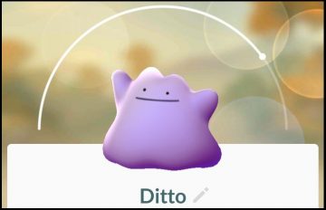 where to catch a ditto in pokemon go