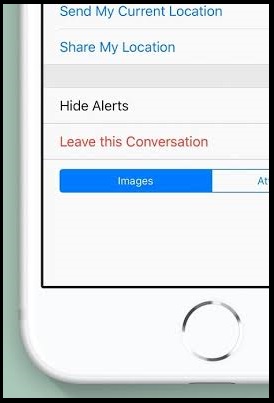 Mute Group Messages Chat on iPhone and iPad