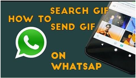 gif send on whatsapp