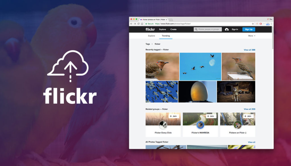 backup-flickr