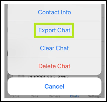 Export chat