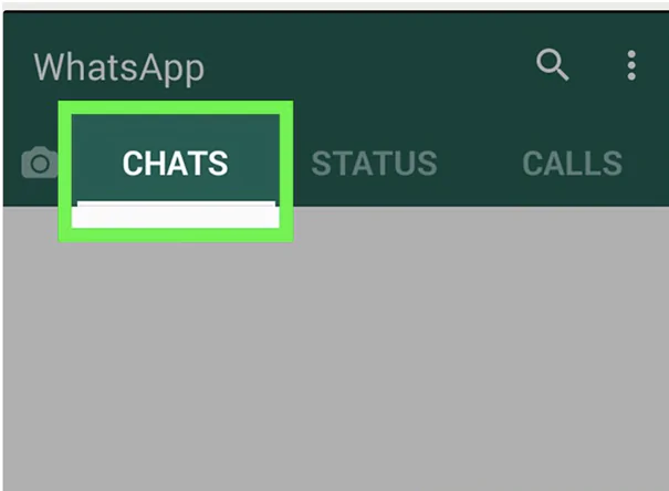 Launch WhatsApp
