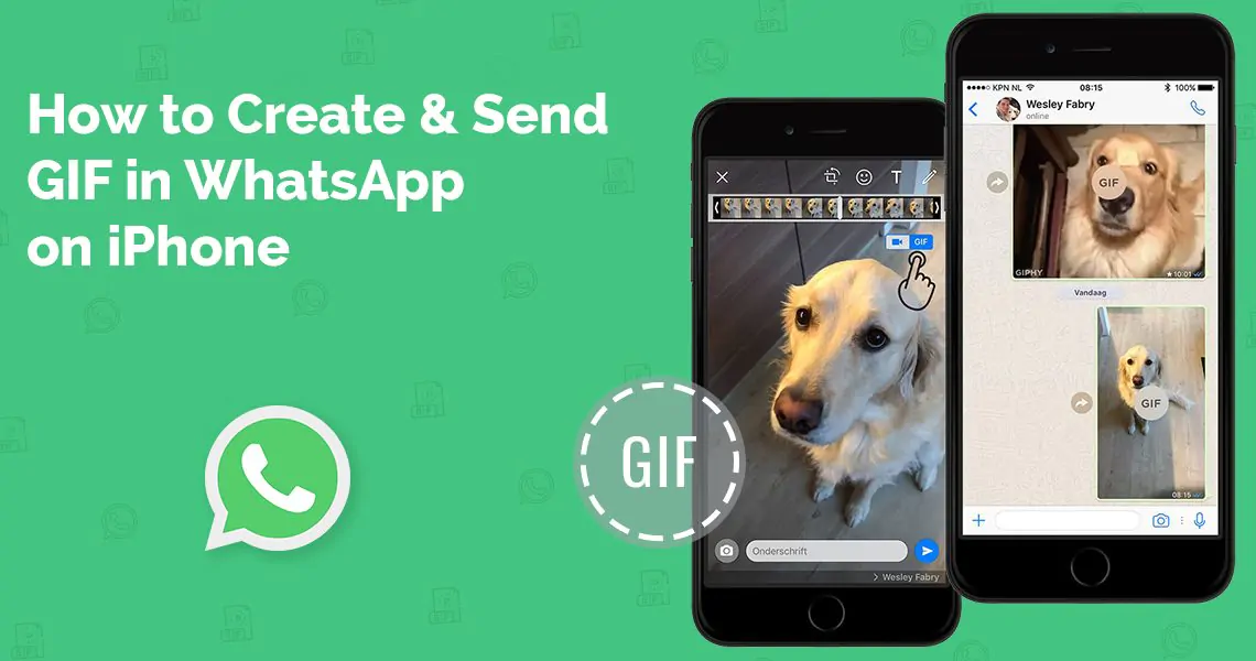 How to Create & Send GIF in WhatsApp on iPhone
