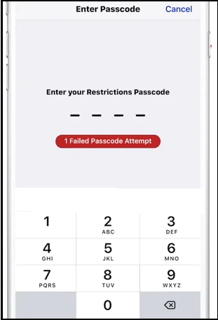 reset your iPhone Passcode