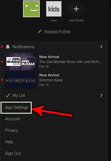 app settings in netflix