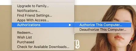 Solution 5 – Re-authorize iTunes