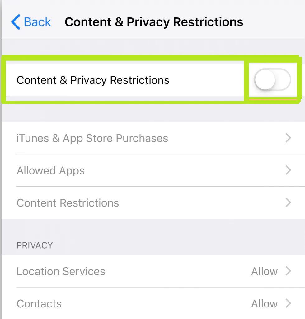 Content & Privacy Restrictions