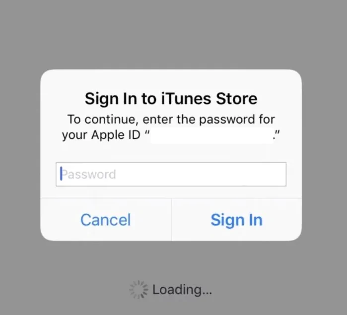 False Apple ID