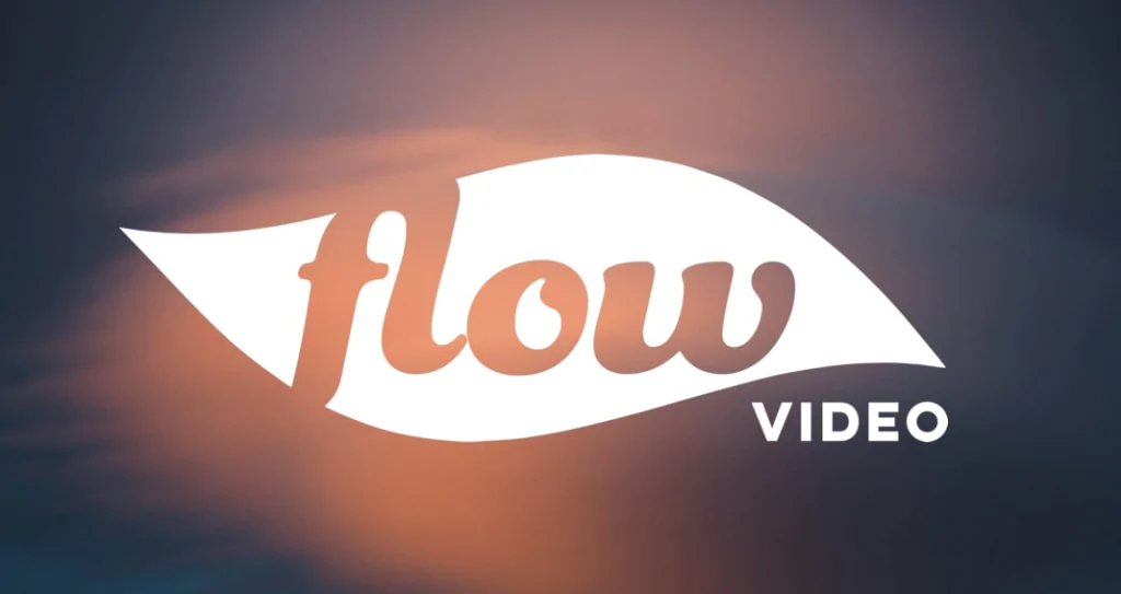 Flow Video